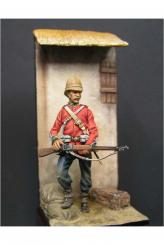 Soldier of 24th Regiments 