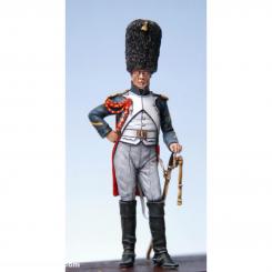 Officier des grenadiers de la Garde à Wagram 