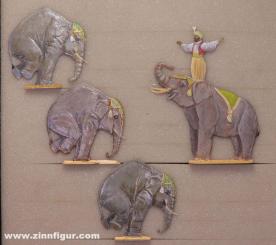 Zirkus Elefantendressur 