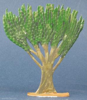 Kandelaber-Euphorbie (Euphorbia candelabrum) 
