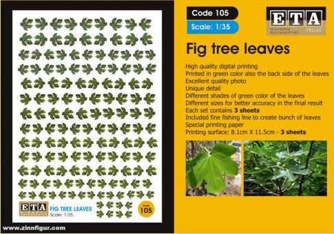 Fig Tree Leaves 