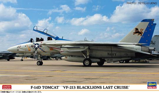 F-14D Tomcat "VF-213 Black Lions Last Cruise" 