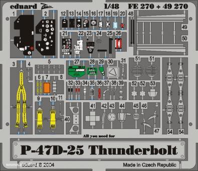 P-47D-25 Thunderbolt ZOOM 