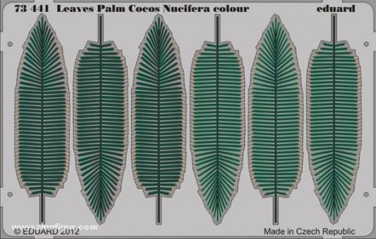 Palmenblätter Cocos Nucifera 
