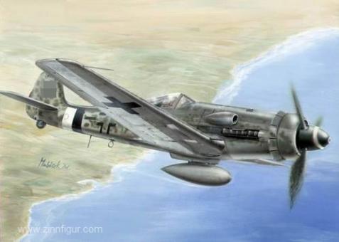 Focke-Wulf Fw 190D-13/R11 