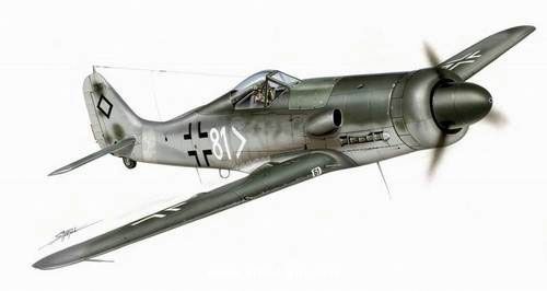 Focke Wulf Fw190 D-11 
