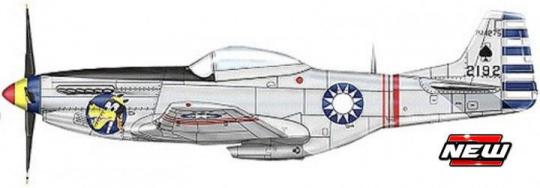 P-51D "ROCAF" 