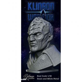 Klingon Warrior 