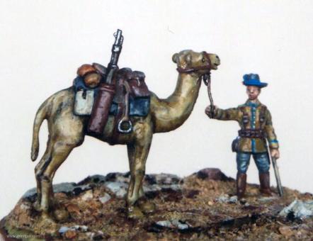 Soldat der Schutztruppe mit Kamel - Deutsch-Südwestafrika 1910-14 