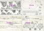 morepic-1