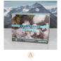 morepic-1