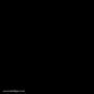 morepic-1
