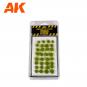 morepic-1