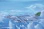 morepic-1
