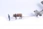 morepic-1