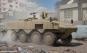 morepic-1