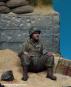 morepic-1