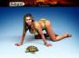 morepic-1