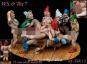 morepic-1