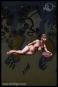 morepic-1