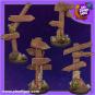 morepic-1