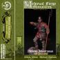 morepic-1