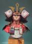 morepic-1