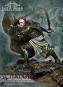 morepic-1