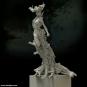 morepic-10