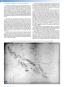 morepic-11