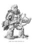 morepic-11
