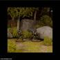 morepic-11