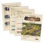 morepic-12