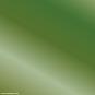 morepic-2