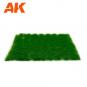 morepic-2