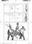 morepic-2