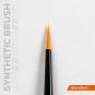 morepic-3