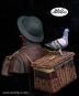 morepic-3