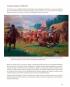 morepic-4