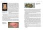 morepic-4