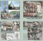 morepic-4
