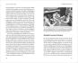 morepic-4