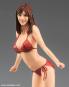 morepic-4