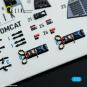 morepic-4
