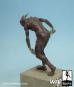 morepic-4
