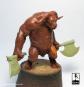 morepic-4