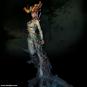 morepic-4