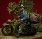 morepic-4