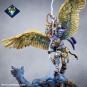 morepic-4