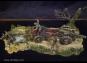 morepic-4